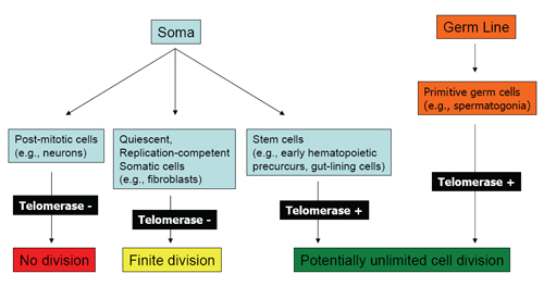 Figure1
