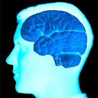 Molecularly Targeted Therapy for Malignant Brain Tumors