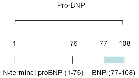 Figure 2A