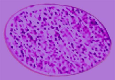 Figure 8