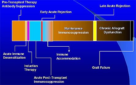Figure 4A