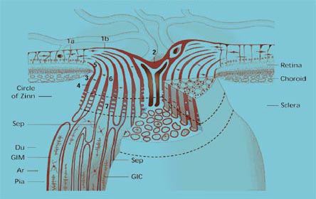 Figure 6D