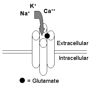 Figure 1A