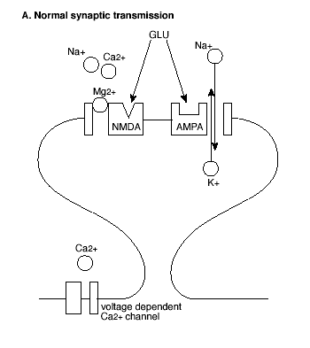 Figure 2A