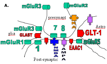 Figure 2A