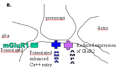 Figure 2B