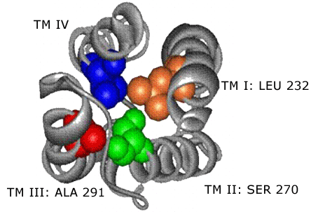 Figure 2B