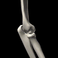 Figure 1B
