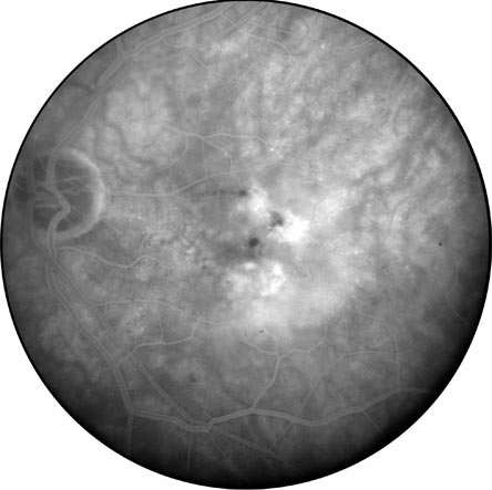 Figure 9